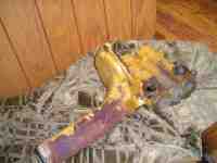 I behov ar lite f�rg