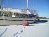 Cassiopeja p� isen