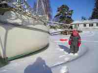 Cassiopeja p� isen