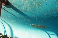 Osmosis (=b�ldpest)