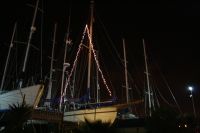 Arctic Fox i julskrud