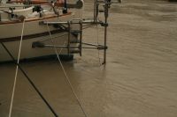 Fiumicino, Arctic Fox i lerv�llingen