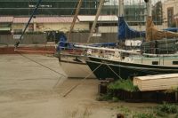 Fiumicino, Arctic Fox och Paulina