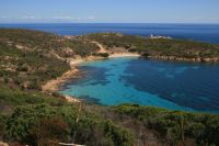 Asinara