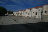 Asinara,f�ngelse av skr�mmande slag