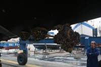 5 �r i Marina de Lagos