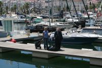 Aguilas bes�ttning anl�nder