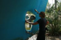 P� land, Aktio Marina