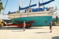 Arctic Fox sj�s�tts