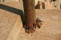 F�rseglade f�rbund vid Madonnan