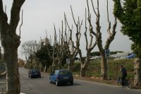 V�r promenadv�g till centrum