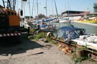 Varvshunden, v�ktare p� Fulvios boat yard
