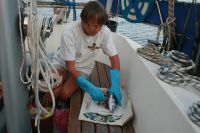 Port Leone, nyk�pt tonfisk