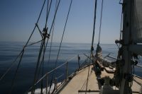 Bleke och motorg�ng i 54 timmar