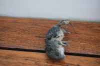 D�d mus fr�n storbommen