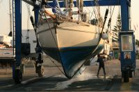 Inte mycket bev�xtning