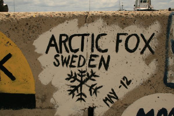 Loggor p� kajen i Porto Santo