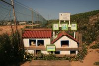 Katthemmet p� v�g till stranden