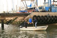 Ankark�ttingen forslas ut till Arctic Fox