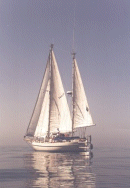 Klicka h�r s� kommer du till Bonaire