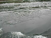 Tidvattenstr�m i Corran Narrows