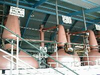 Laphroaig distillery