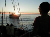 Hur man s�ljer diesel till en engelsman p� Biscaya