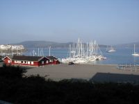 Arctic Fox i Camarinas