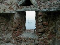 Berlenga Arctic Fox under fortet