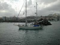 Arctic Fox ut p� Atlanten!