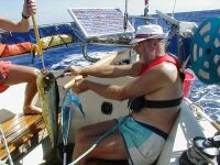 Vi fick en fisk...
Dorado p� 6-7 kg!