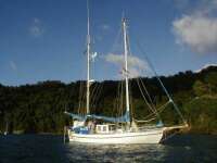 Arctic Fox i Pirates Bay