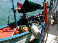 Diesel-tankning p� svaj