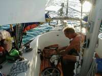 Styckning av tonfisk