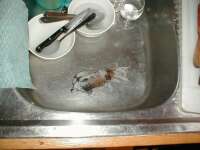 Proppen i kylvattnet