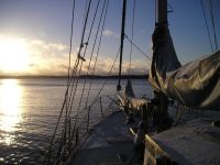 Decemberhelg. Grinda