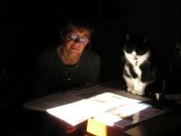 Redarn och skeppskatten